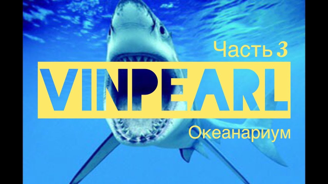 Vinpearl Land Nha Trang, Океанариум на  Винперл АКУЛЫ ЮЖНО КИТАЙСКОГО МОРЯ Вьетнамский Диснейленд