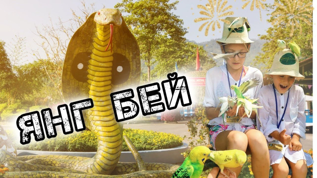 Эко парк Янг Бей  |  Экскурсии в Нячанге  |  Вьетнам 2024