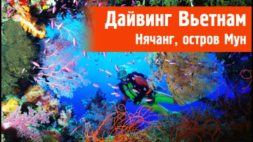 Дайвинг во Вьетнаме Нячанг. Остров Мун - Южно-Китайское море  | Diving Vietnam Nha Trang, Hon Mun