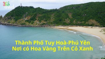 Th&agrave;nh Phố Tuy Ho&agrave; - Ph&uacute; Y&ecirc;n Nơi C&oacute; Hoa V&agrave;ng Tr&ecirc;n Cỏ Xanh