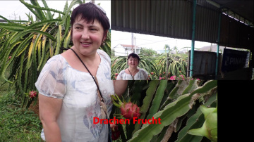 Vietnam - Phan Thiet - Saigon Mui Ne Resort im Februar 2020
