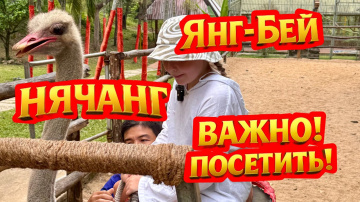 Янг-Бей &mdash; лучший водопад Нячанга! Вы обязаны его посетить 🇻🇳💦